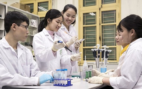 Phát triển hệ thống bảo đảm chất lượng giáo dục đại học, cao đẳng sư phạm