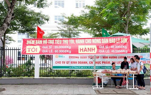 Hỗ trợ bà con nông dân Lý Sơn - tiêu thụ hành - tỏi