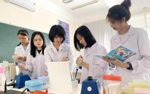 Khả quan chất lượng tuyển sinh ngành Sư phạm